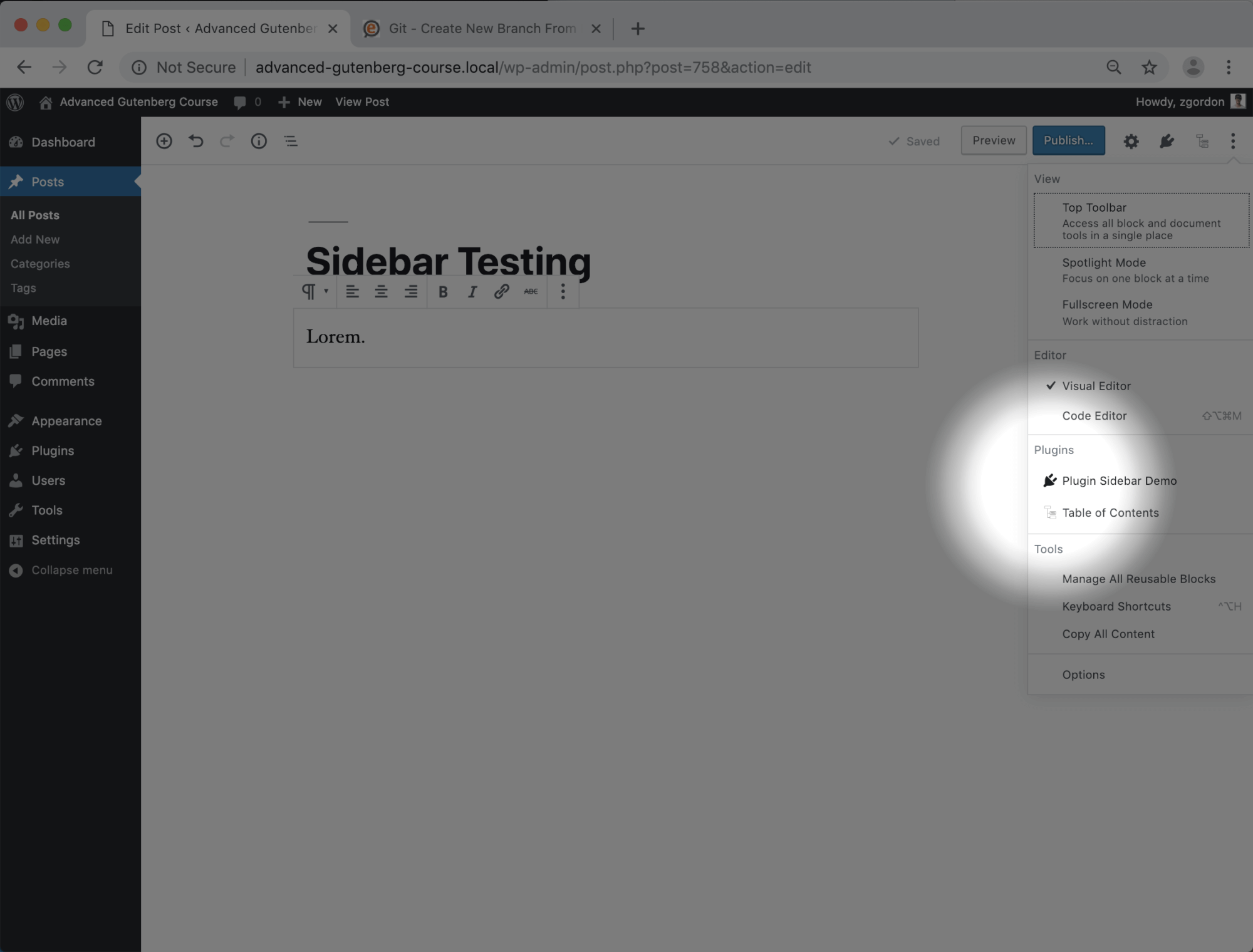 WordPress Plugin Sidebar API Tutorial [w Video] JavaScript for WordPress